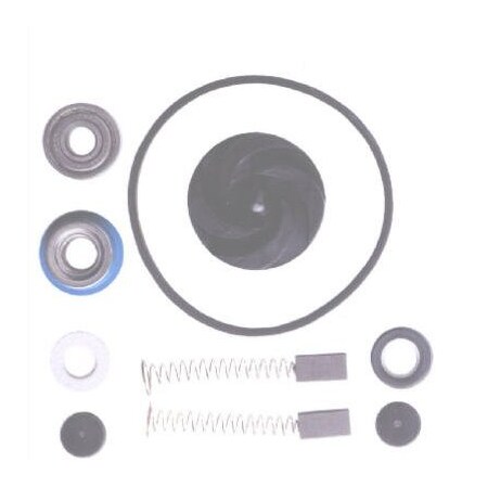 Wayne Water Systems PC4 Pump Repair Kit 56399